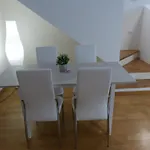 Residenza Piazza Santo Stefano Apartman